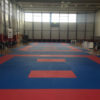 TATAMI-BUDO PRO 25 - Slika 7