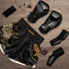 HLAČICE ZA MUAY THAI-FALCON - Slika 3