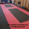 TATAMI-BUDO 20 - Slika 8