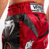HLAČICE ZA MUAY THAI-ONE FC - Slika 6