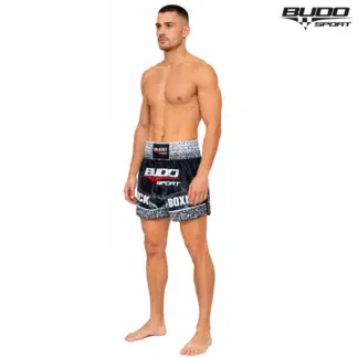 HLAČICE ZA KICKBOXING-BUDO PRO