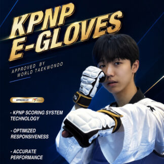 Taekwondo WT